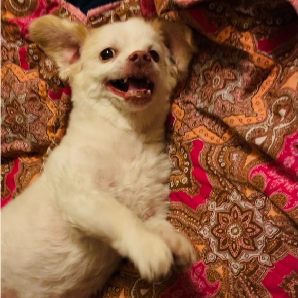 Meet your Posher, Sara - Picture 13 of 16